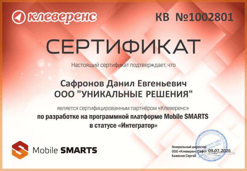 Сафронов Данил. Интегратор "Mobile Smarts"